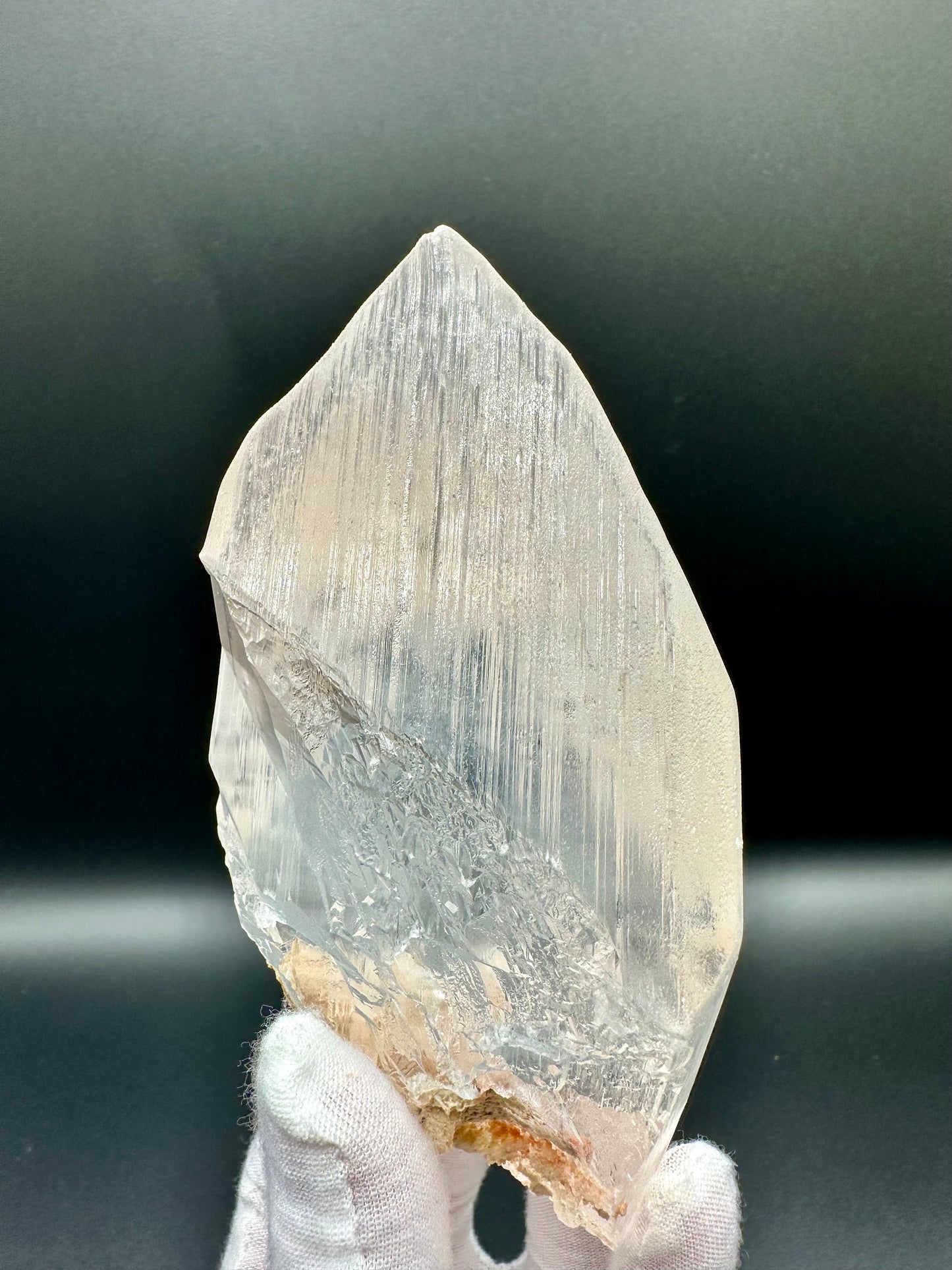 Naica Selenite Crystal Mineral Collector's Grade Specimen