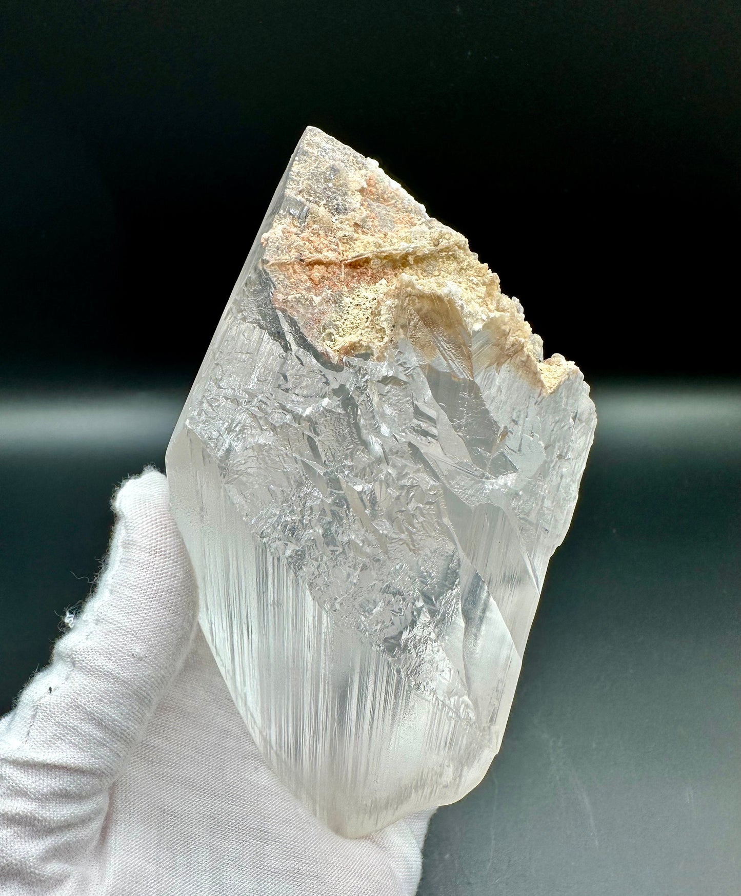 Naica Selenite Crystal Mineral Collector's Grade Specimen