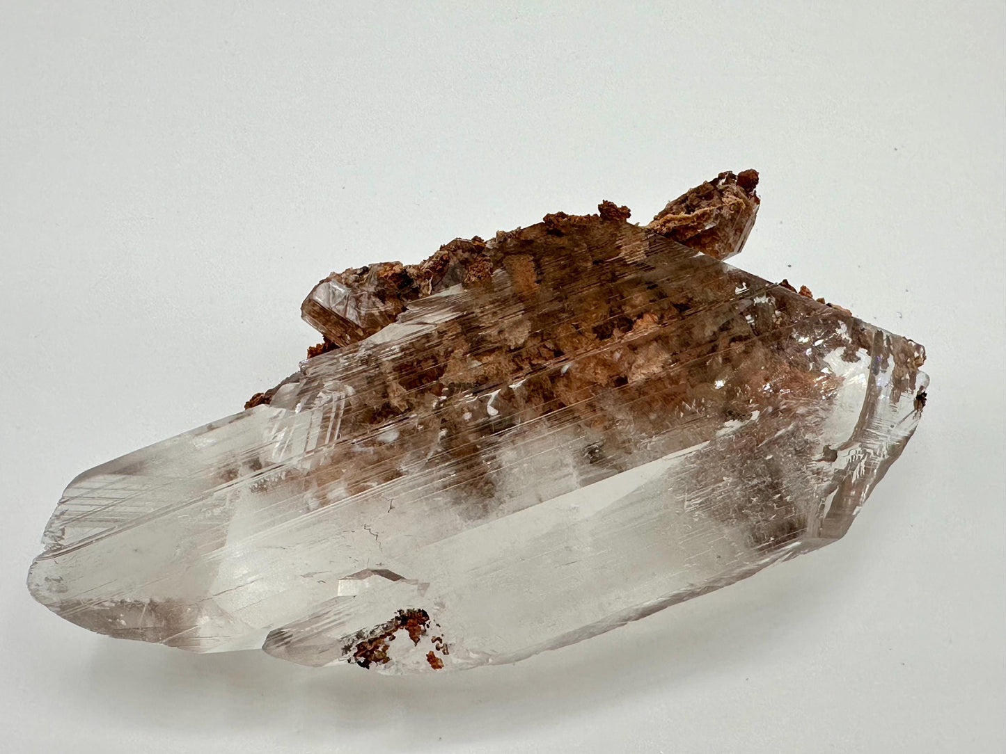 Bermejillo Selenite Crystal Mineral Specimen with Matrix
