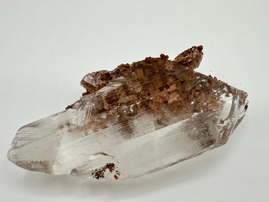 Bermejillo Selenite Crystal Mineral Specimen with Matrix
