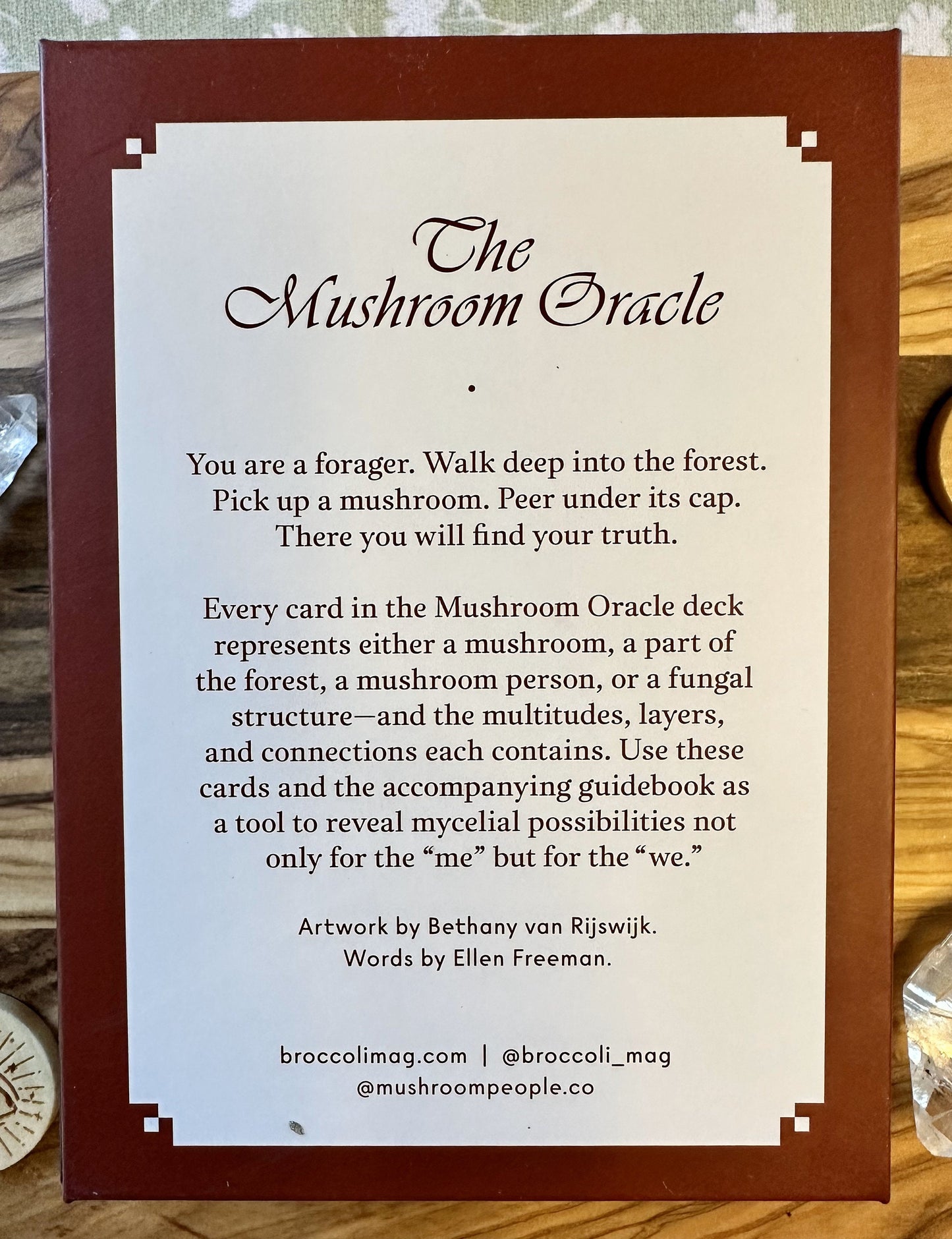 The Mushroom Oracle Deck- 44 Card Deck and Guidebook