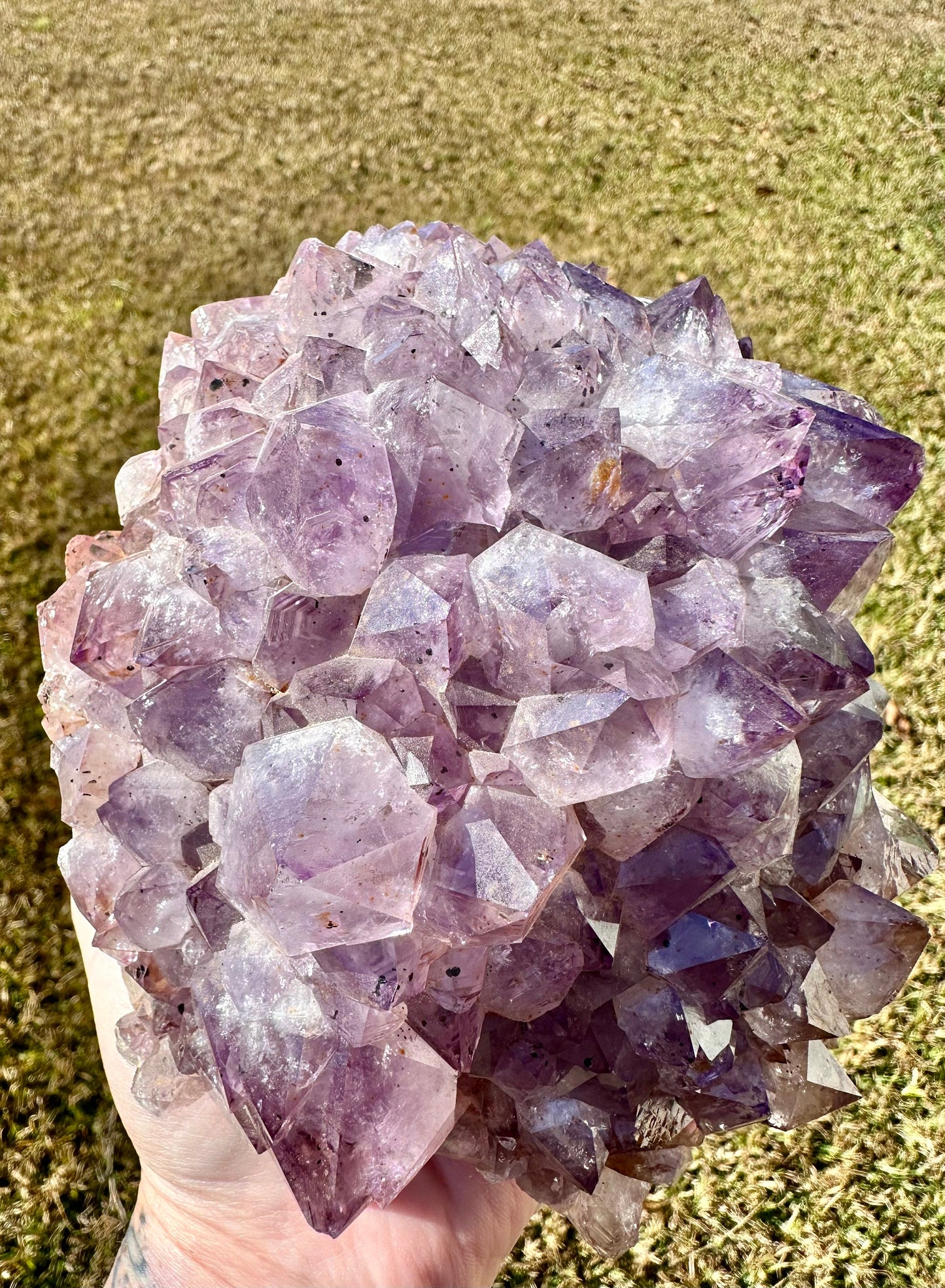 Brazilian Amethyst Quartz Cluster