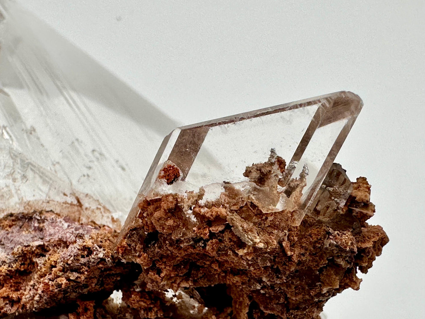 Durango Selenite Crystal Mineral Specimen with Matrix