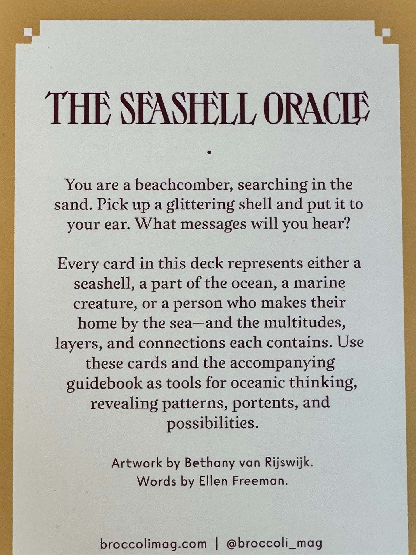 The Seashell Oracle Cards: 44 Card Deck for Divination