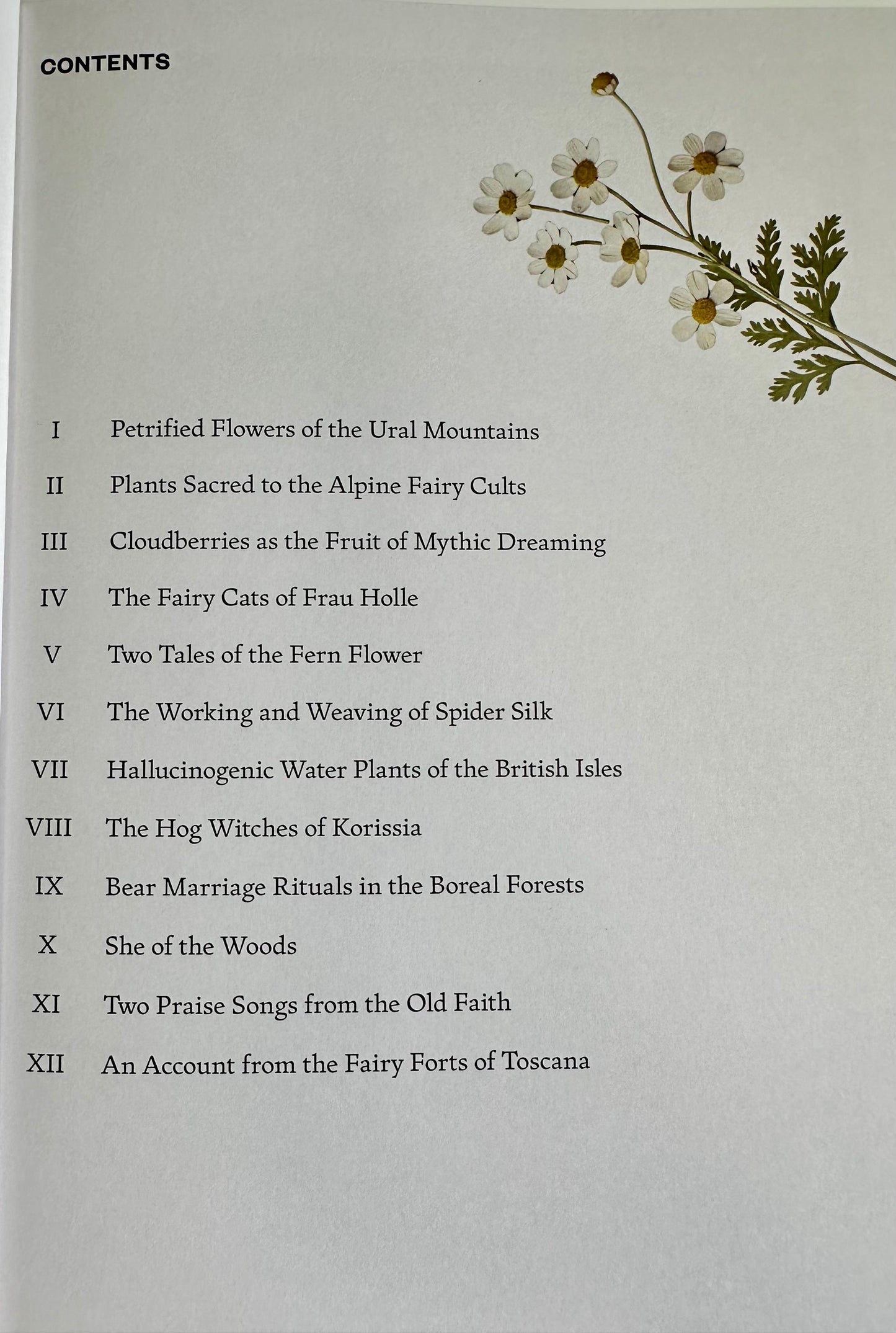 The Fruit of Mythic Dreaming Book - Imagined Folklore & Otherworld Botany